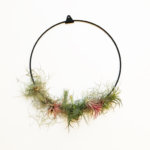 Floral Hoop met Strups Ring en Airplants
