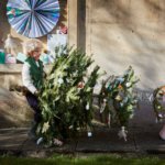 Kerstboom zonder zorgen